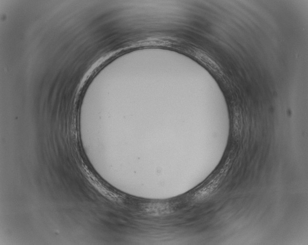 X0000068310800200605051529