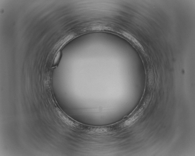 X0000068310801200605051529