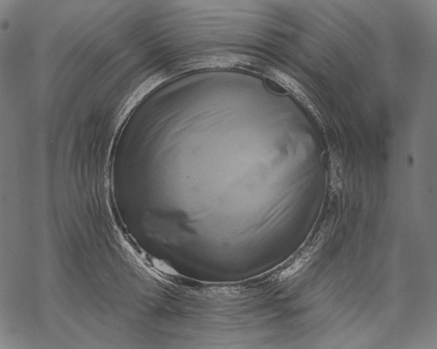 X0000068310802200605051529