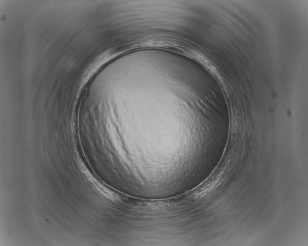 X0000068310803200605051529