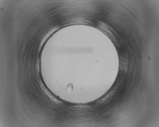 X0000068310804200605051529