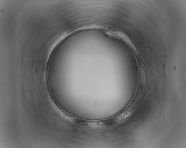 X0000068310805200605051529