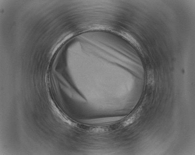 X0000068310806200605051529