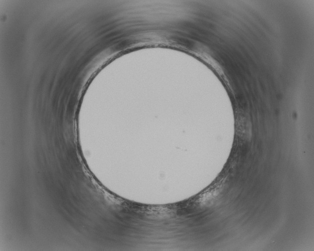 X0000068310807200605051529