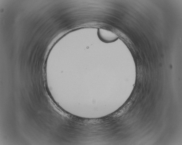 X0000068310808200605051529