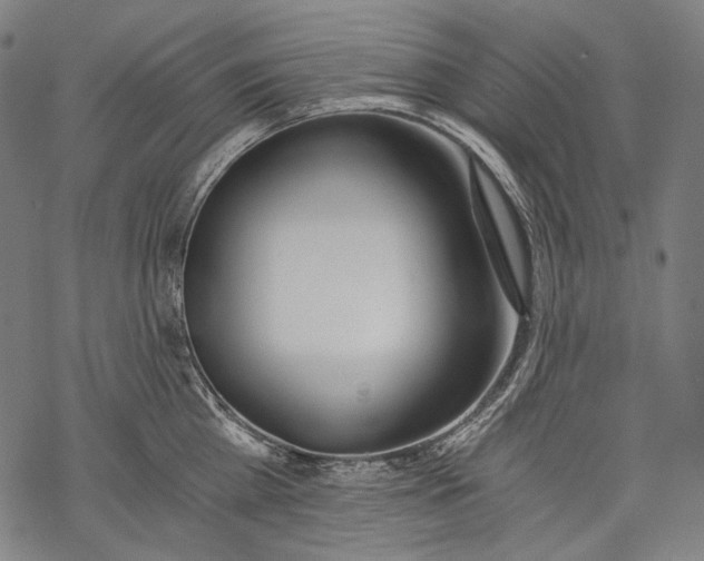 X0000068310809200605051529