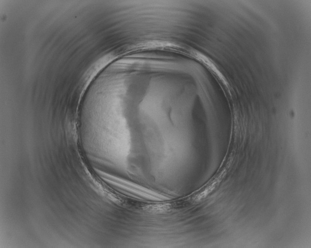 X0000068310810200605051529