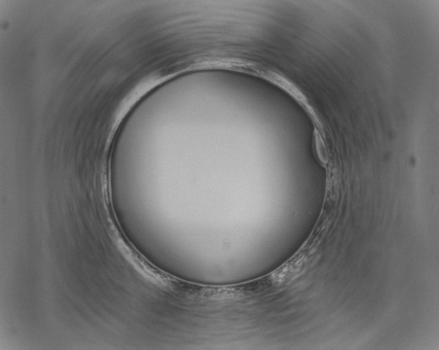 X0000068310811200605051529