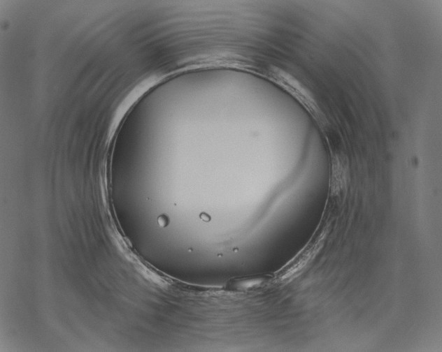 X0000068310812200605051529