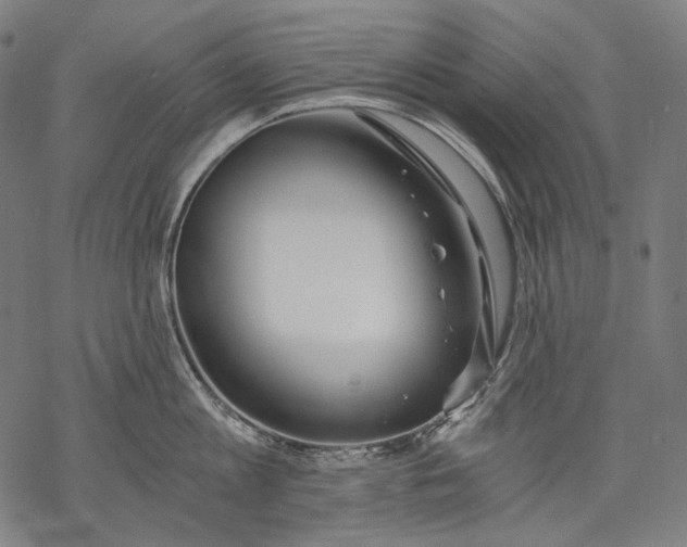 X0000068310813200605051529