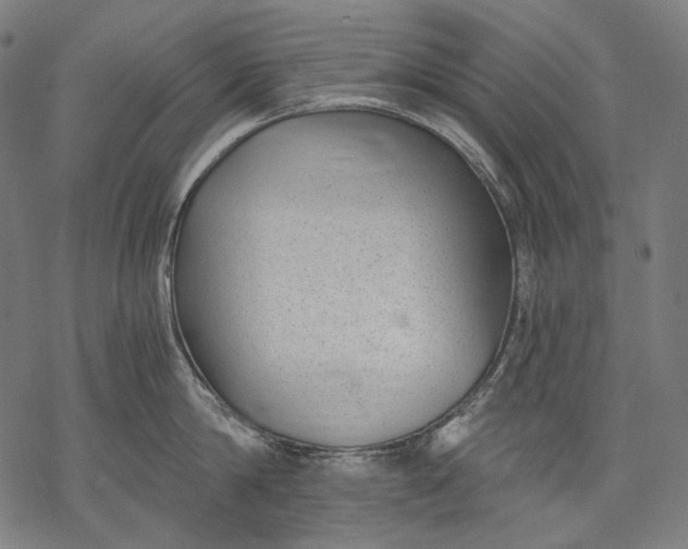 X0000068310814200605051529