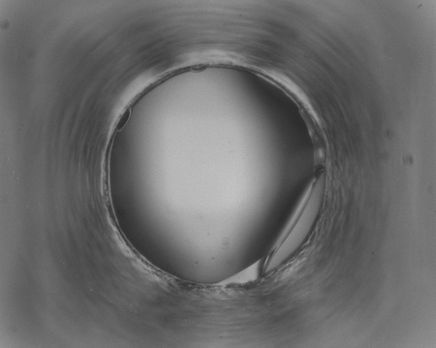 X0000068310815200605051529