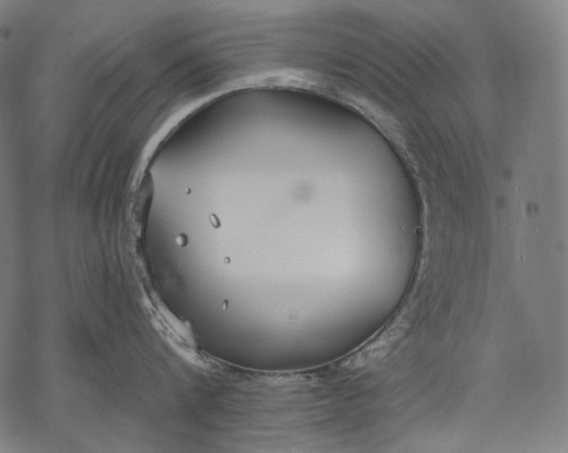 X0000068310816200605051529