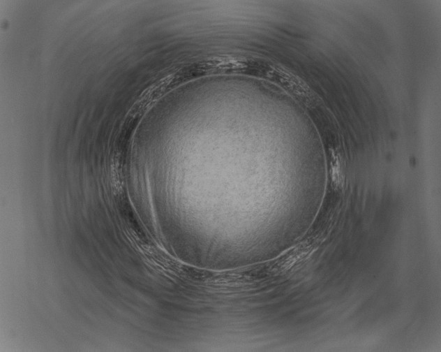 X0000068310819200605051528