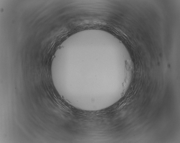 X0000068310820200605051528