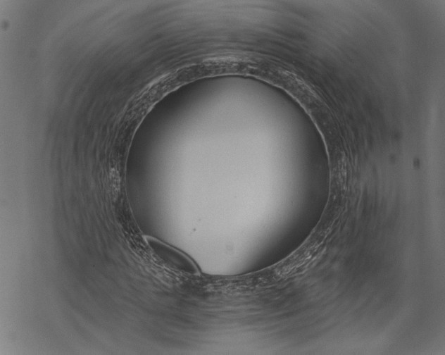 X0000068310821200605051528