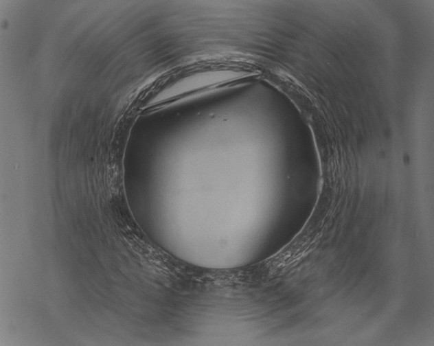 X0000068310822200605051528