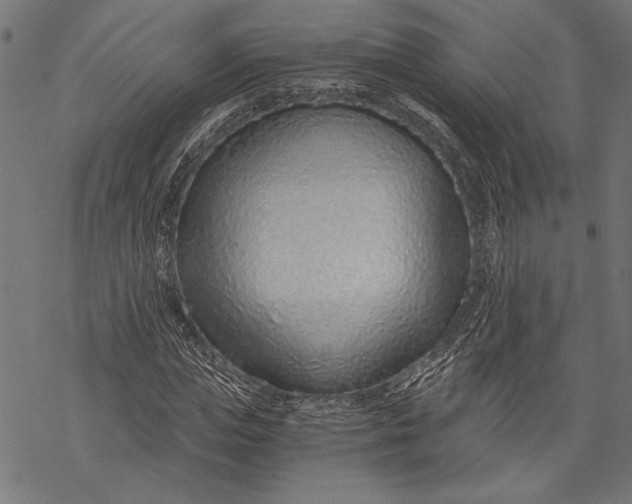 X0000068310823200605051528