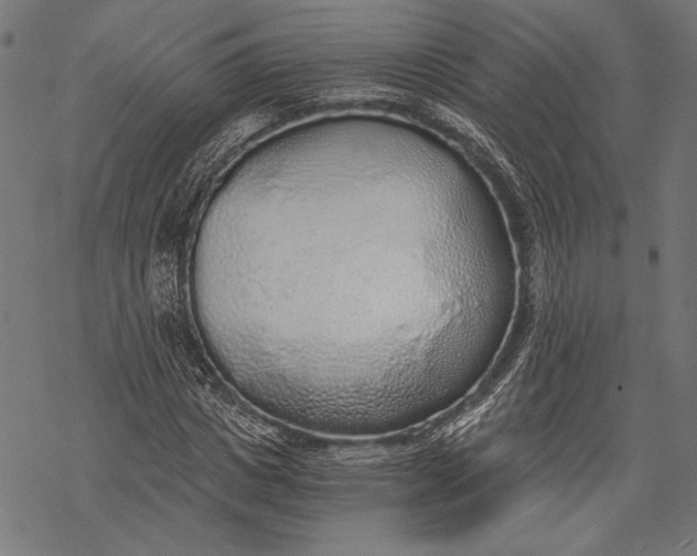 X0000068310825200605051528