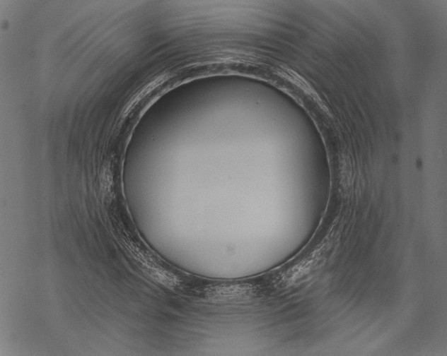 X0000068310826200605051528