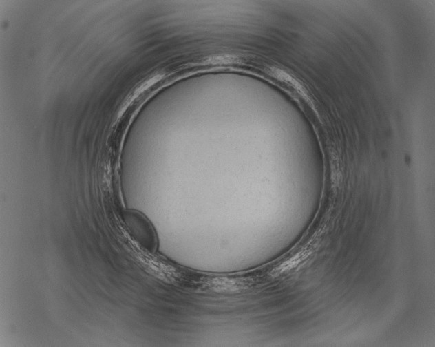 X0000068310827200605051528