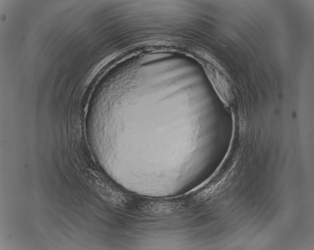 X0000068310829200605051528