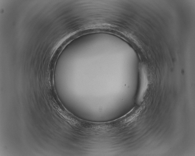 X0000068310830200605051528