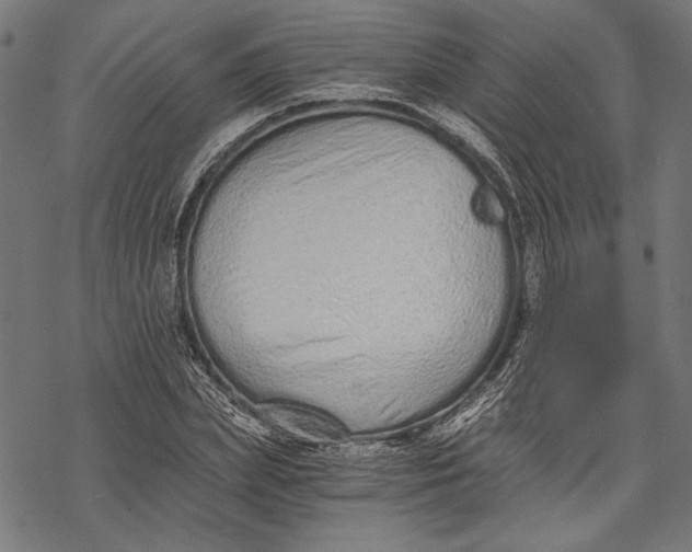 X0000068310831200605051528