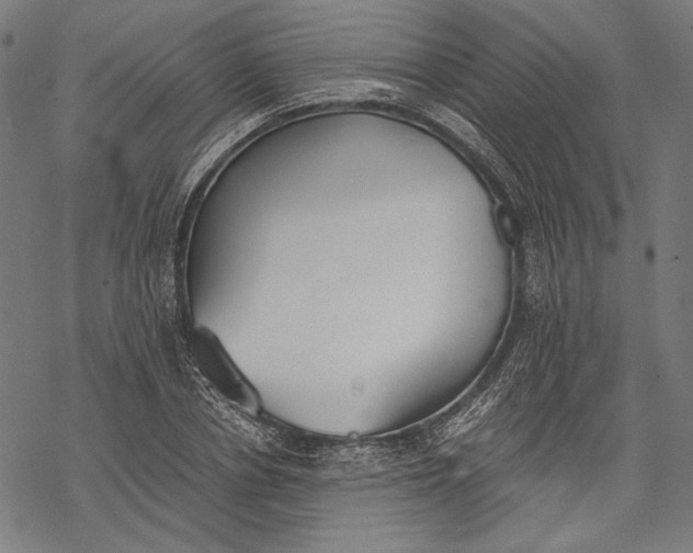 X0000068310834200605051529