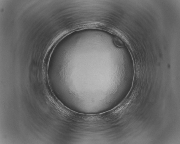 X0000068310835200605051529