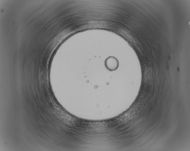 X0000068310836200605051529