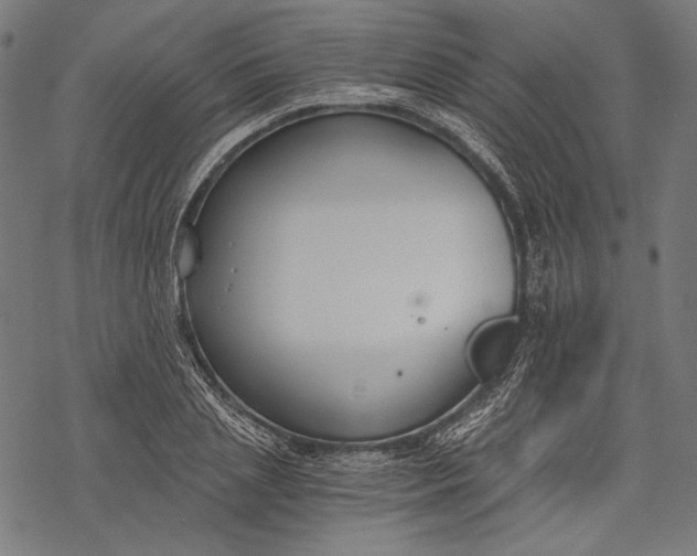 X0000068310837200605051529