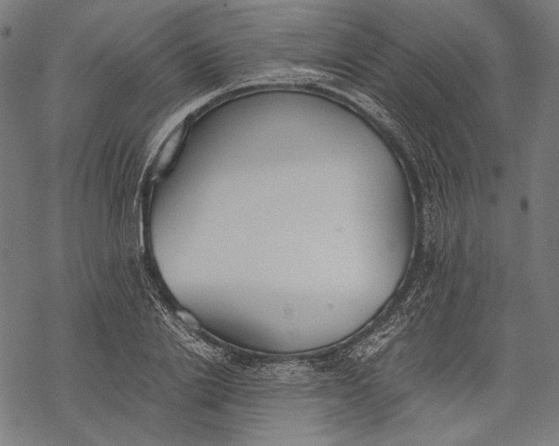 X0000068310838200605051529