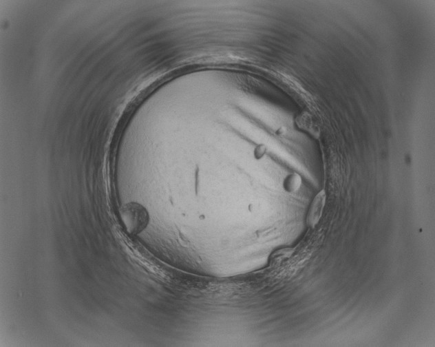 X0000068310840200605051529