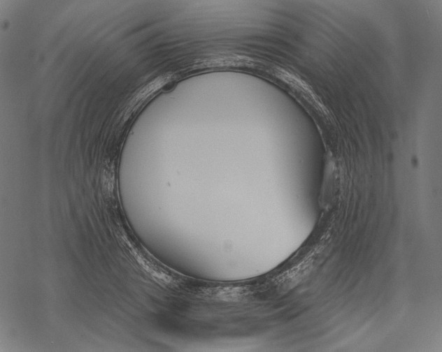 X0000068310841200605051529