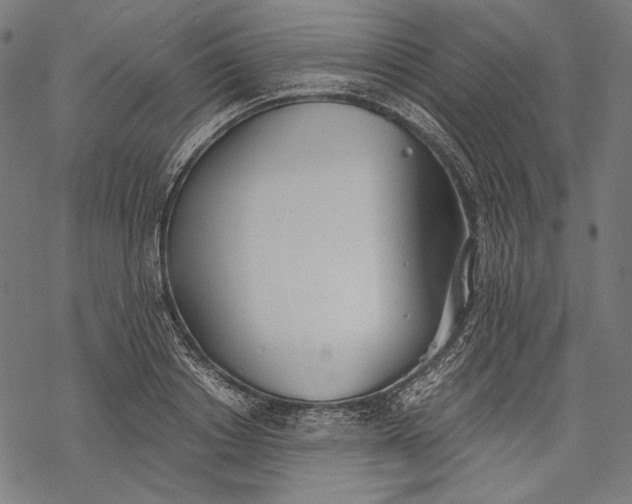 X0000068310842200605051529