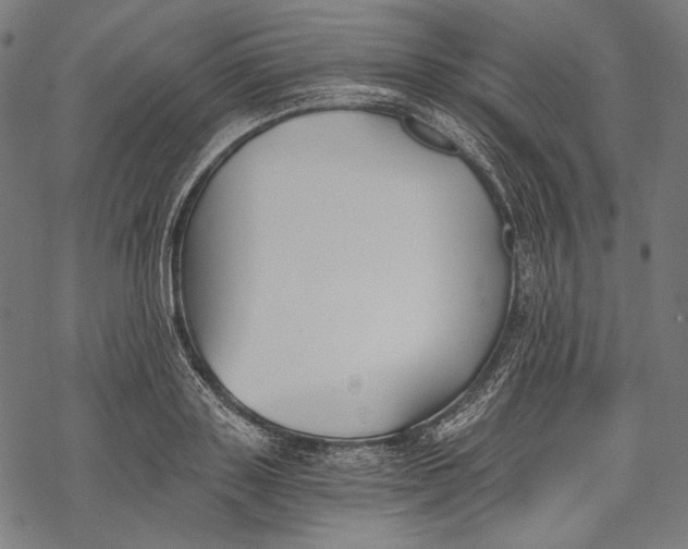 X0000068310843200605051529