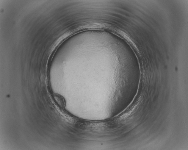 X0000068310845200605051529