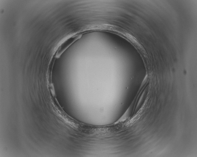 X0000068310846200605051529