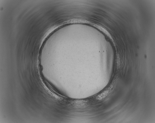 X0000068310847200605051529