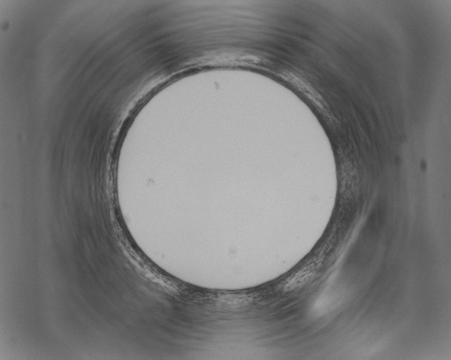 X0000068310848200605051529