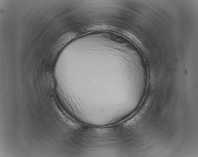 X0000068310849200605051529