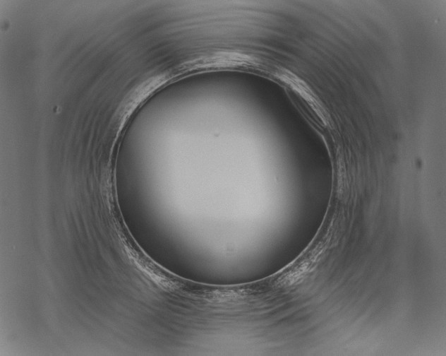 X0000068310850200605051529