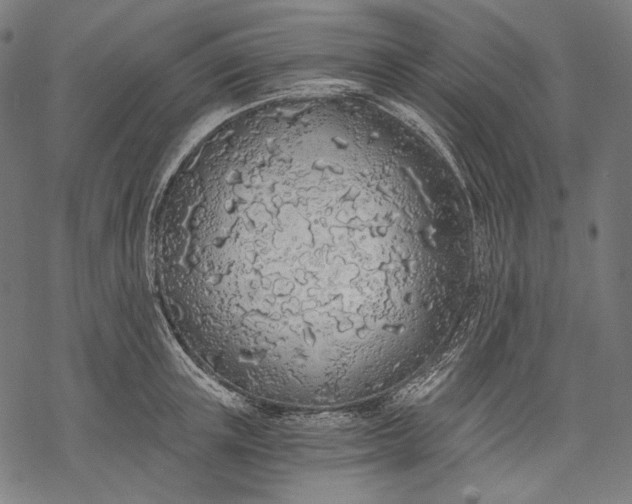 X0000068310851200605051529