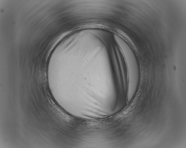 X0000068310852200605051529