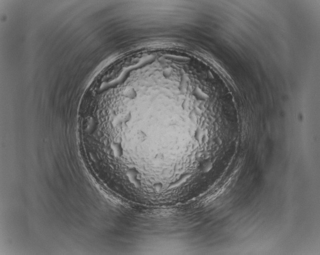 X0000068310853200605051529