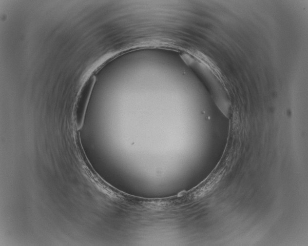 X0000068310854200605051529