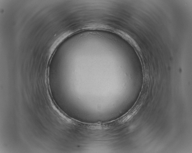 X0000068310855200605051529