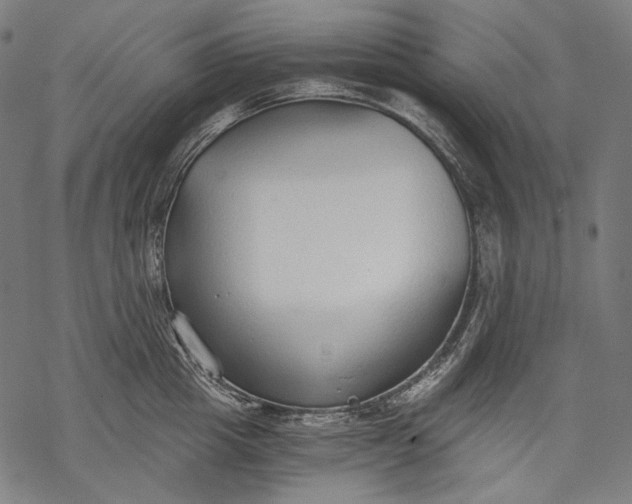 X0000068310857200605051529