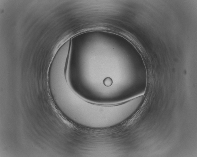 X0000068310858200605051529